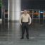zaur
