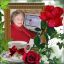 Чеслава
